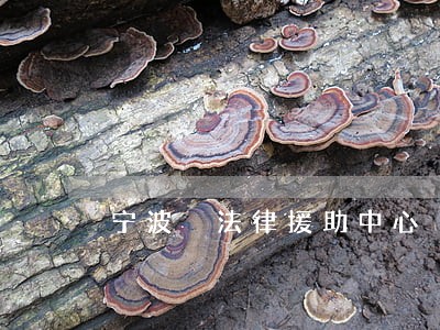 宁波 法律援助中心 宁波 法律援助中心